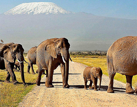 3 Days Amboseli National Park Safari